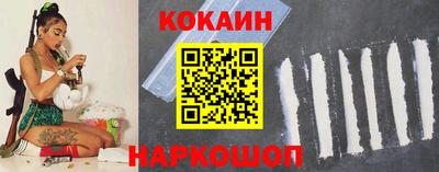 apvp Бийск