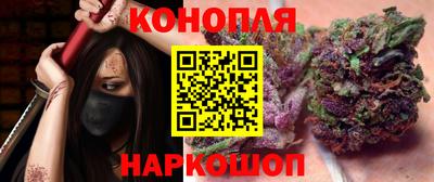 apvp Бийск