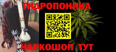apvp Бийск