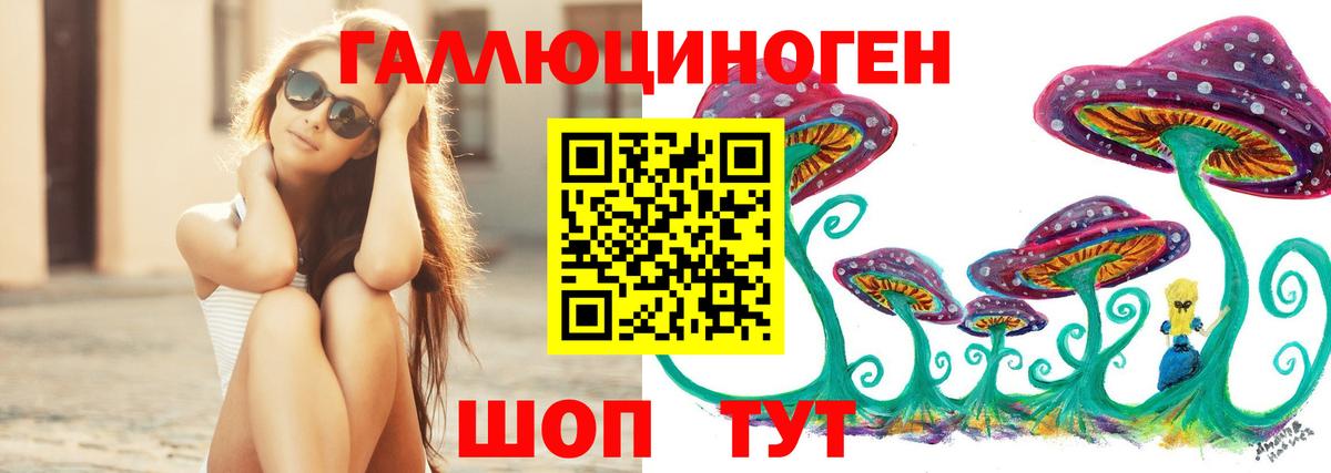 Псилоцибиновые грибы Psilocybe  Вход с VPN  Брянск  Псилоцибиновые грибы Cubensis 